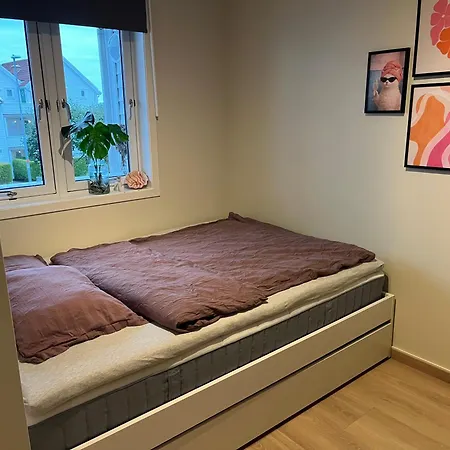 Grasholmen, Apartamento